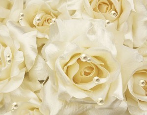 Фотообои флизелиновые Ф162 Жемчужные розы 400*270, холст Delice Decor