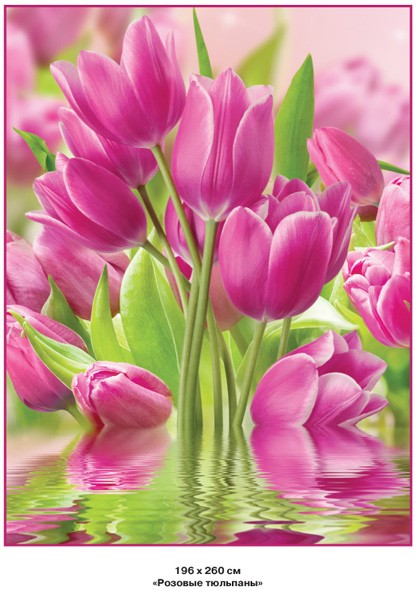 Фотообои бумажные 8л Розовые тюльпаны 200*260 (10) №233