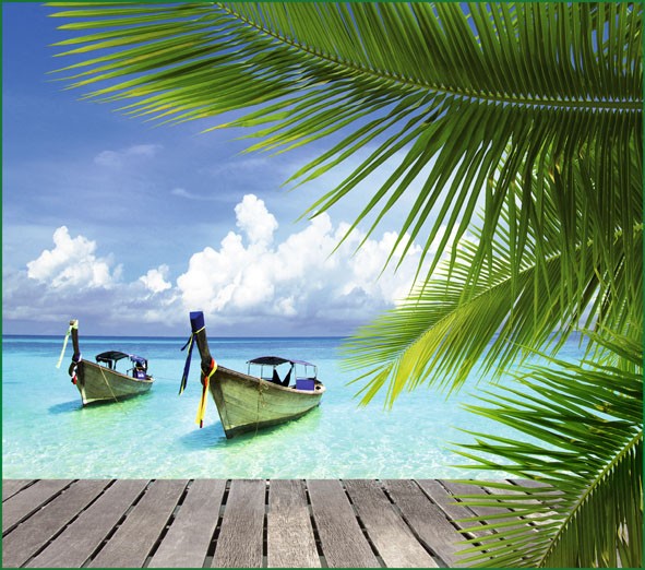 Фотообои бумажные 12л Карибы 294*260 (10) №266