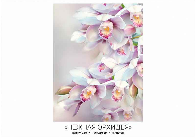 Фотообои бумажные 8л Нежная орхидея 310 196*260 (10)