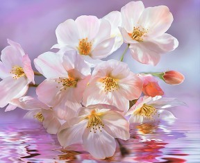 Фотообои флизелиновые Ф029 Цветение 300*270, Delice Decor