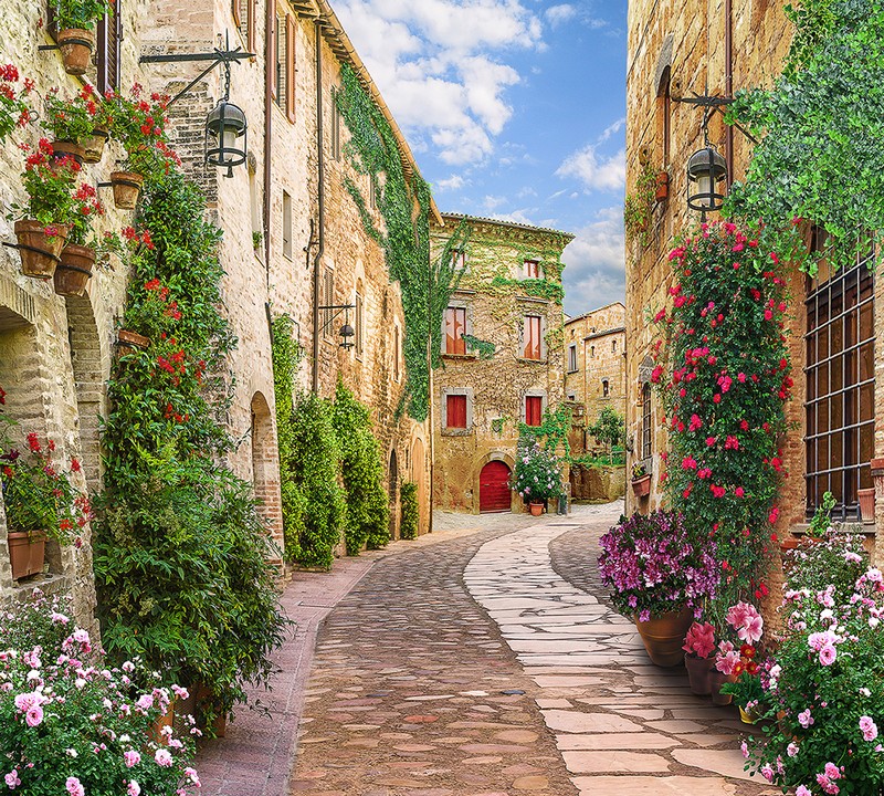 Фотопанно Т-255 Улочка с цветами 300*270 (Холст) на флизелиновой основе Divino Decori