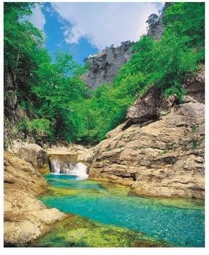 Фотообои бумажные 8л Лазурная речка 200*260 (10) №74