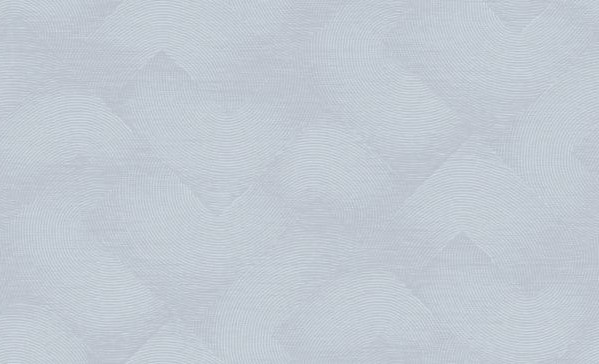 Обои 60213-04 (6) Nova виниловые горячего тиснения на флизелине 1,06м*10,05м, Эрисманн