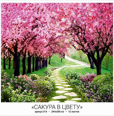 Фотообои бумажные 12л Сакура в цвету 314 294*260 (10)
