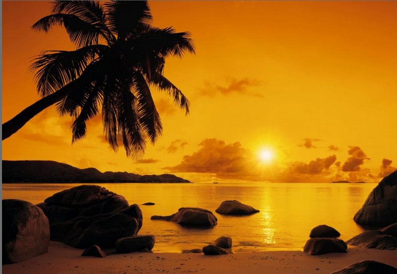 Фотообои 8-316 "Рассвет" 368см*254см на бумажной основе, KOMAR